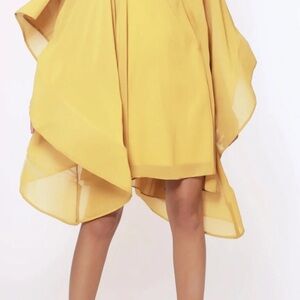 Gracia Was $120 -Beautiful Sheer Tunic Dress with Wide Sleeve-Stunning